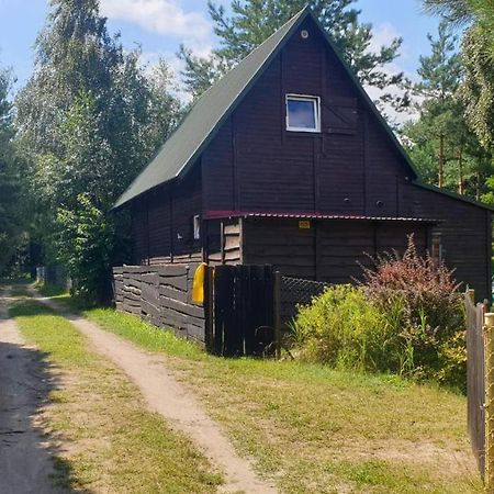 Domki Nad Jeziorem, Las, Do 10 Osob Jezioro Wilczynskie Budzislawskie - Domek Letniskowy Osobno Ogrodzony, Ogrzewany Mile Widziane Pieski, Zwierzeta- Wielkopolska, 62-550 Zygmuntowo Gm Wilczyn Ngoại thất bức ảnh