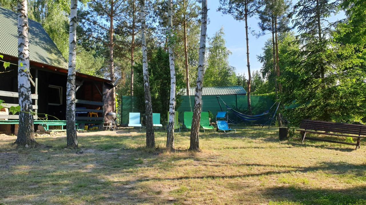 Domki Nad Jeziorem, Las, Do 10 Osob Jezioro Wilczynskie Budzislawskie - Domek Letniskowy Osobno Ogrodzony, Ogrzewany Mile Widziane Pieski, Zwierzeta- Wielkopolska, 62-550 Zygmuntowo Gm Wilczyn Ngoại thất bức ảnh