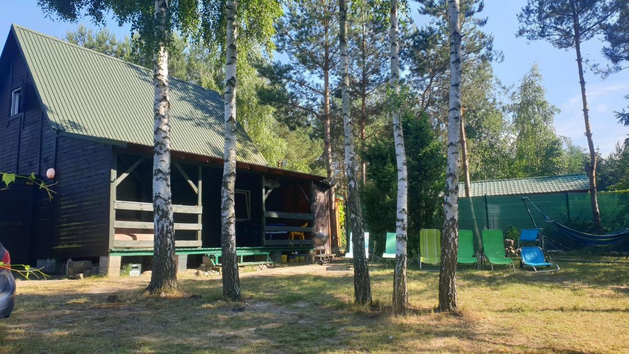 Domki Nad Jeziorem, Las, Do 10 Osob Jezioro Wilczynskie Budzislawskie - Domek Letniskowy Osobno Ogrodzony, Ogrzewany Mile Widziane Pieski, Zwierzeta- Wielkopolska, 62-550 Zygmuntowo Gm Wilczyn Ngoại thất bức ảnh