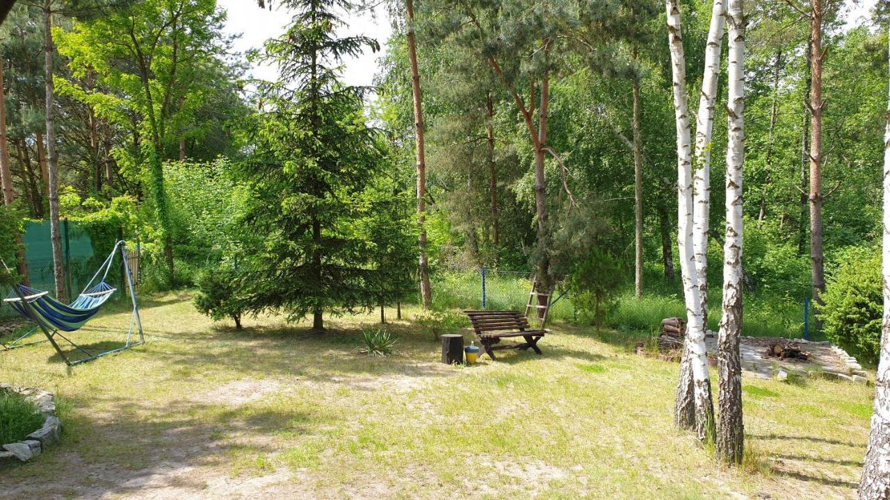 Domki Nad Jeziorem, Las, Do 10 Osob Jezioro Wilczynskie Budzislawskie - Domek Letniskowy Osobno Ogrodzony, Ogrzewany Mile Widziane Pieski, Zwierzeta- Wielkopolska, 62-550 Zygmuntowo Gm Wilczyn Ngoại thất bức ảnh