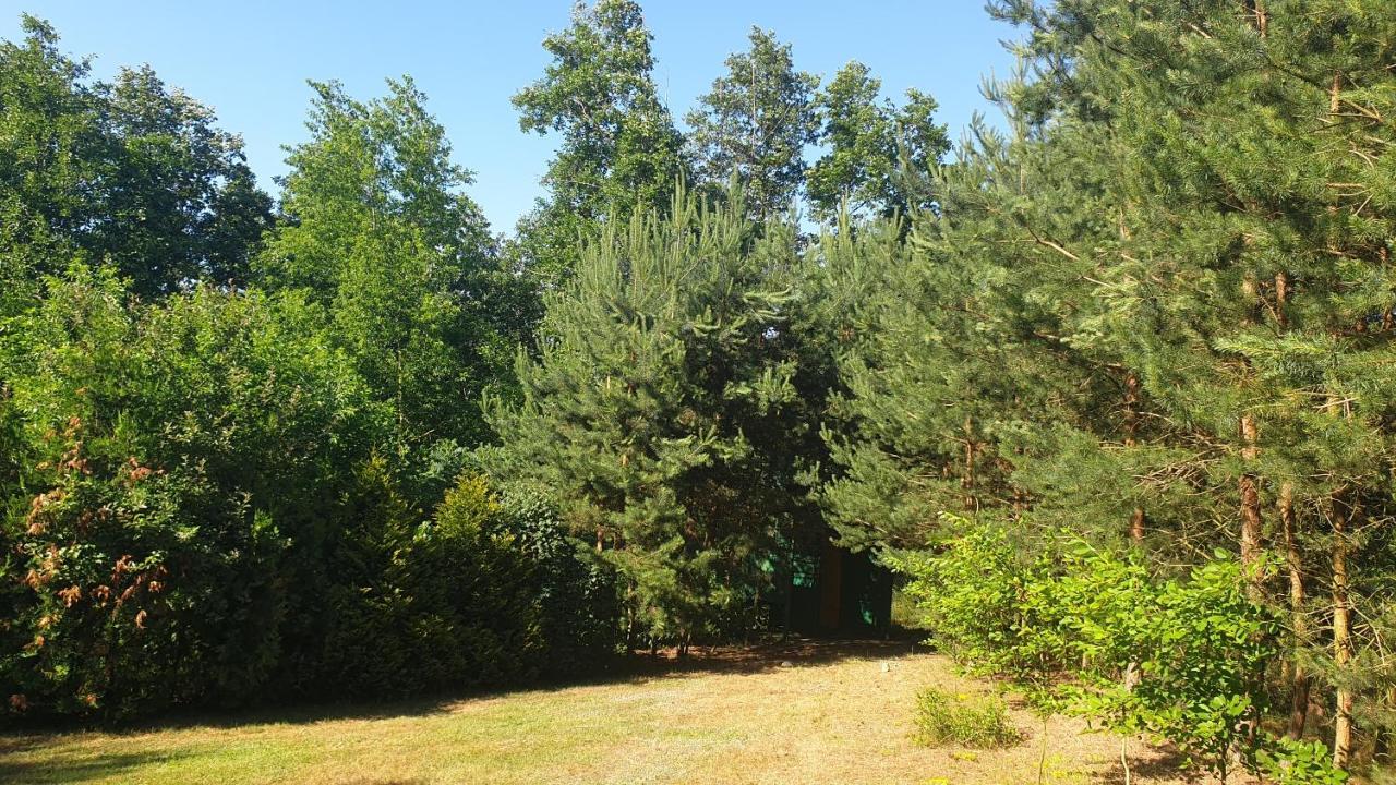 Domki Nad Jeziorem, Las, Do 10 Osob Jezioro Wilczynskie Budzislawskie - Domek Letniskowy Osobno Ogrodzony, Ogrzewany Mile Widziane Pieski, Zwierzeta- Wielkopolska, 62-550 Zygmuntowo Gm Wilczyn Ngoại thất bức ảnh