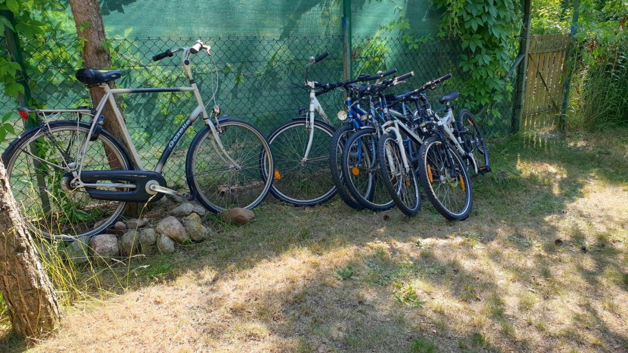 Domki Nad Jeziorem, Las, Do 10 Osob Jezioro Wilczynskie Budzislawskie - Domek Letniskowy Osobno Ogrodzony, Ogrzewany Mile Widziane Pieski, Zwierzeta- Wielkopolska, 62-550 Zygmuntowo Gm Wilczyn Ngoại thất bức ảnh
