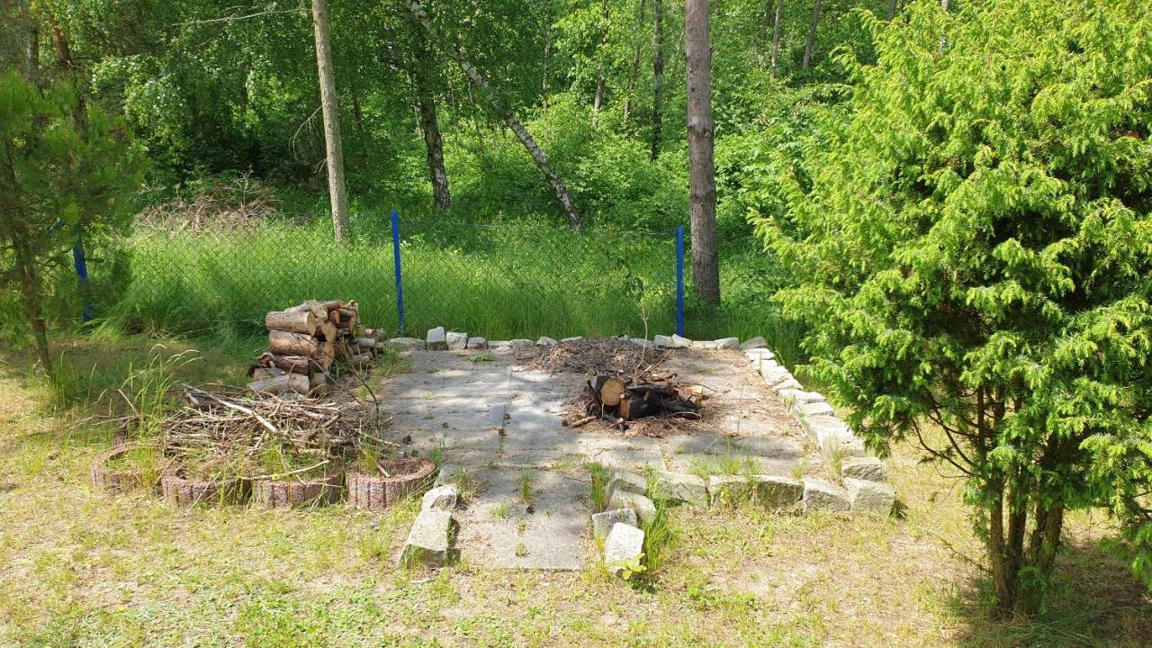 Domki Nad Jeziorem, Las, Do 10 Osob Jezioro Wilczynskie Budzislawskie - Domek Letniskowy Osobno Ogrodzony, Ogrzewany Mile Widziane Pieski, Zwierzeta- Wielkopolska, 62-550 Zygmuntowo Gm Wilczyn Ngoại thất bức ảnh