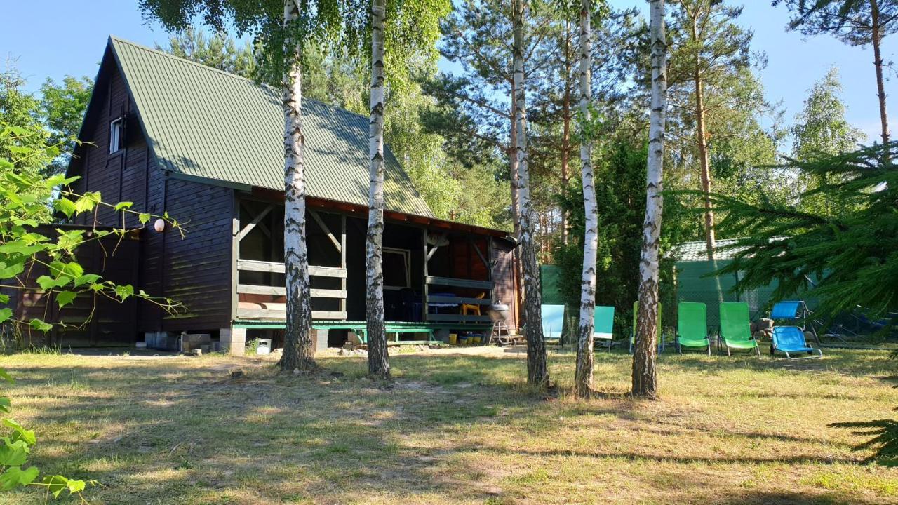 Domki Nad Jeziorem, Las, Do 10 Osob Jezioro Wilczynskie Budzislawskie - Domek Letniskowy Osobno Ogrodzony, Ogrzewany Mile Widziane Pieski, Zwierzeta- Wielkopolska, 62-550 Zygmuntowo Gm Wilczyn Ngoại thất bức ảnh