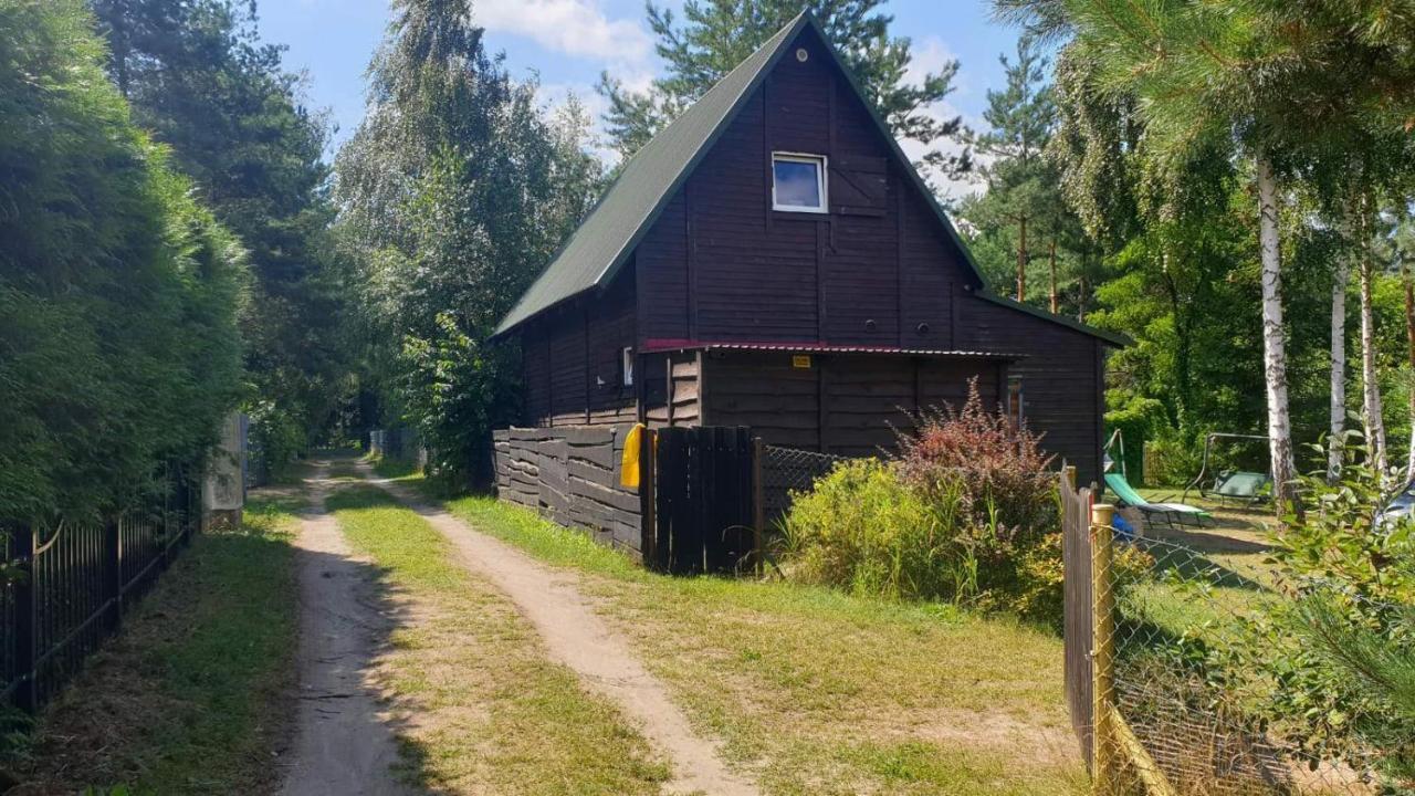 Domki Nad Jeziorem, Las, Do 10 Osob Jezioro Wilczynskie Budzislawskie - Domek Letniskowy Osobno Ogrodzony, Ogrzewany Mile Widziane Pieski, Zwierzeta- Wielkopolska, 62-550 Zygmuntowo Gm Wilczyn Ngoại thất bức ảnh